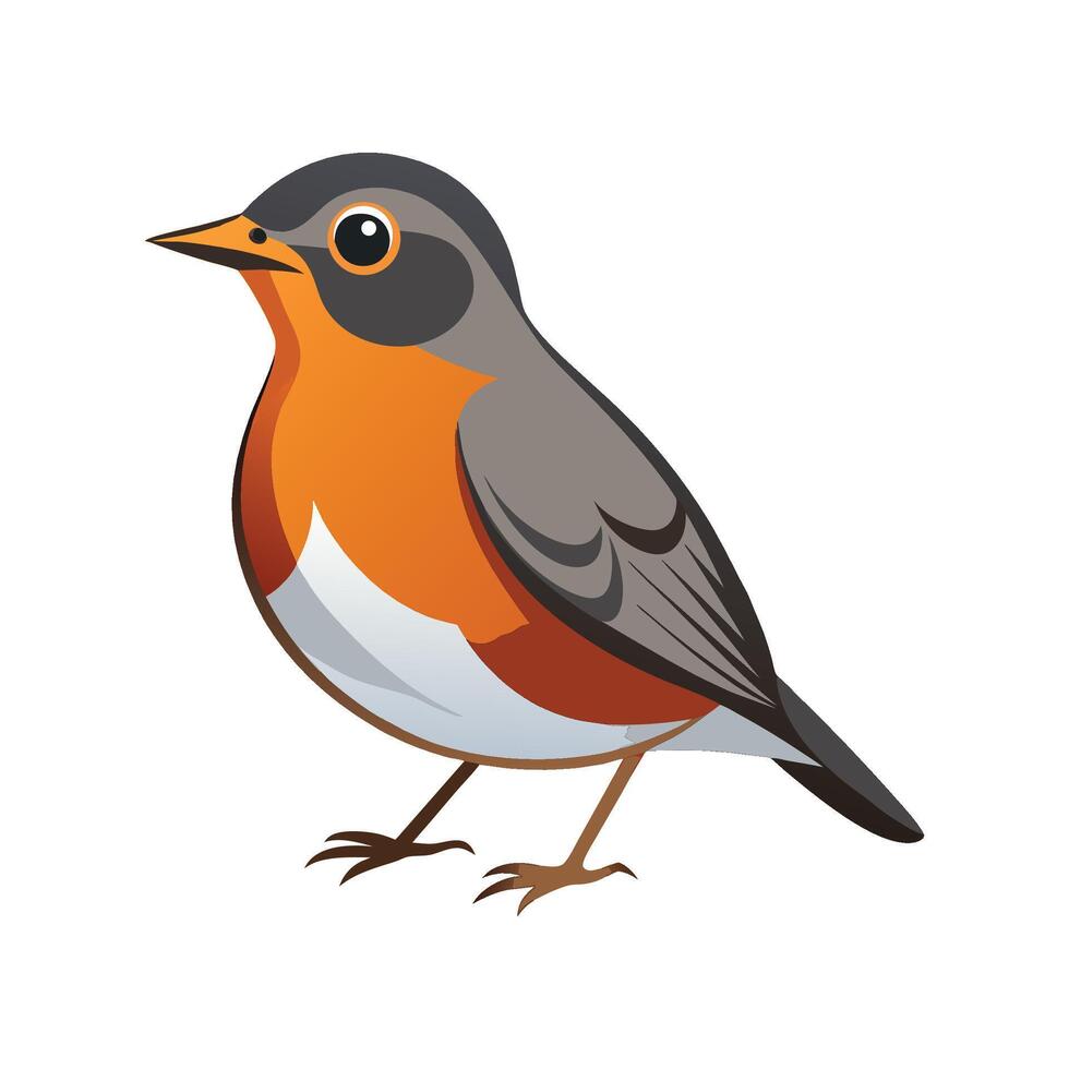 Vibrant Design of American Robin vector