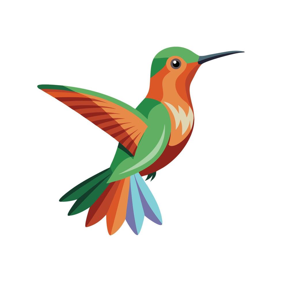 Unique Andean Hillstar Hummingbird vector