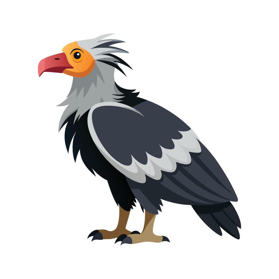 Charming of Andean Condor vector