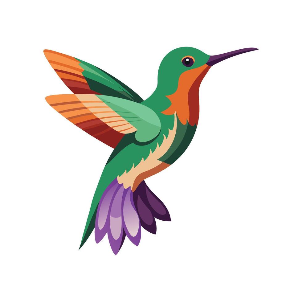 Charming Andean Hillstar Artwork vector