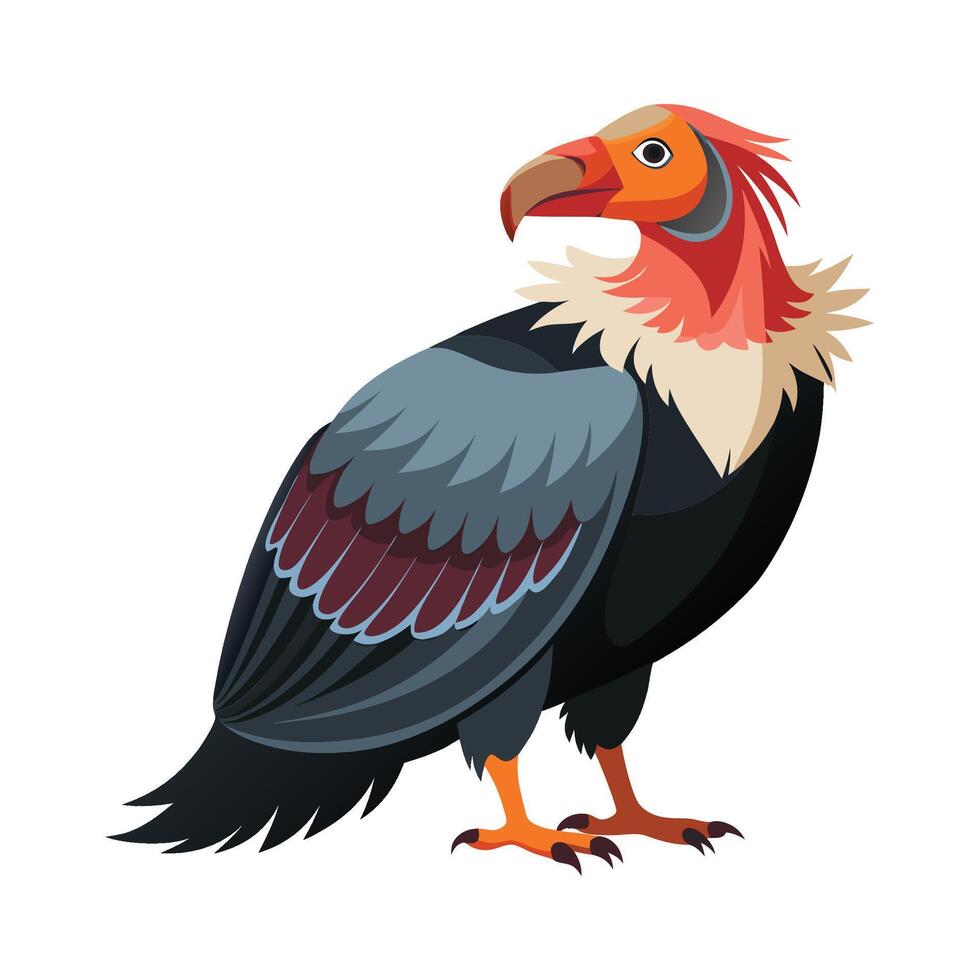 Elegant Illustration of Andean Condor Bird vector