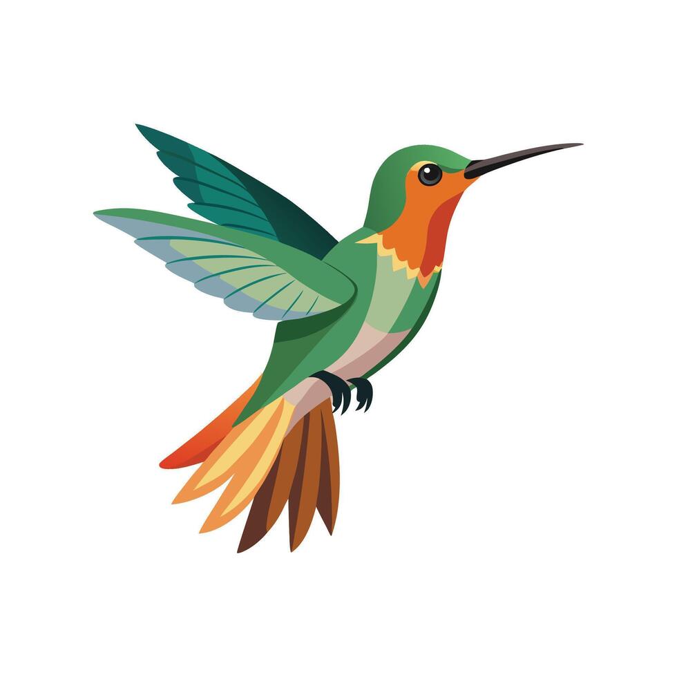 Elegant Andean Hillstar Hummingbird Art vector