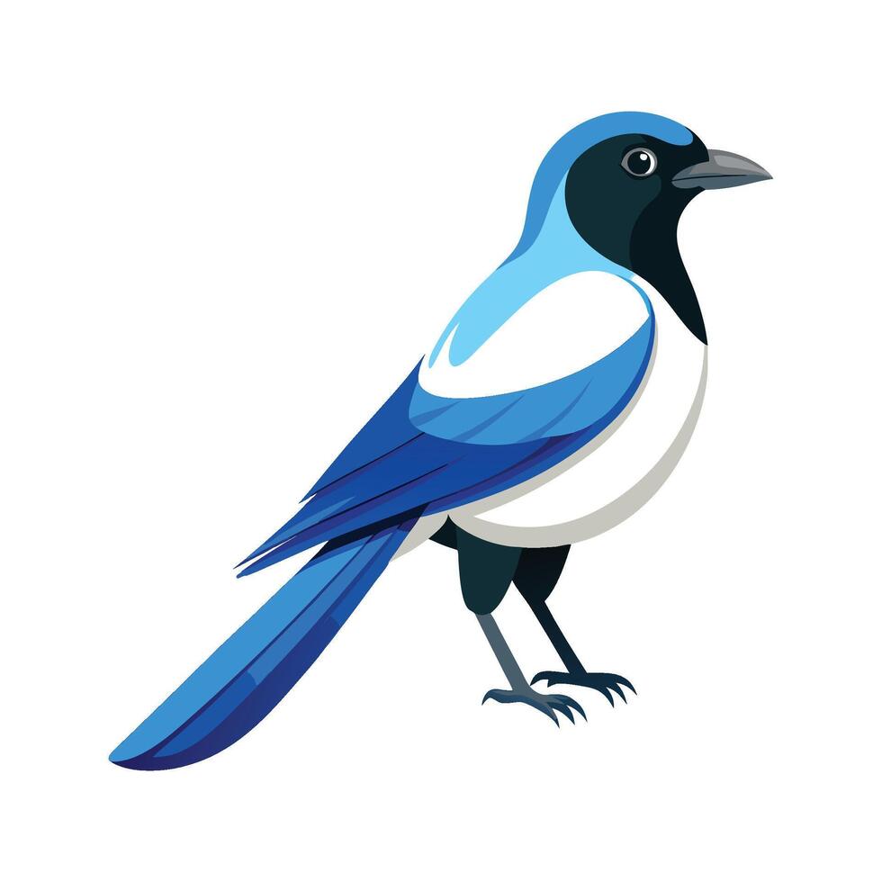 Stylish AzureWinged Magpie vector