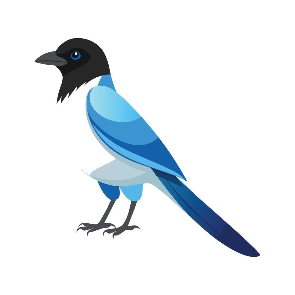 Elegant Illustration of AzureWinged Magpie vector