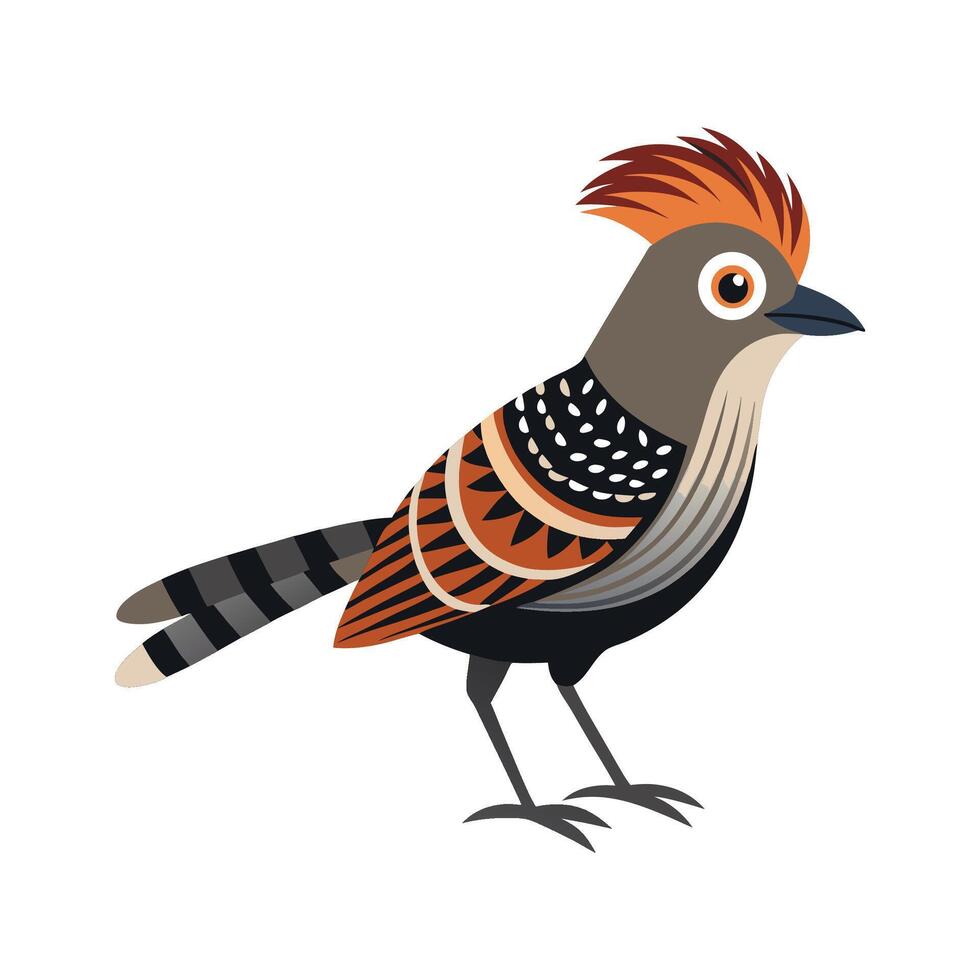 Elegant Barred Antshrike Bird Illustration vector