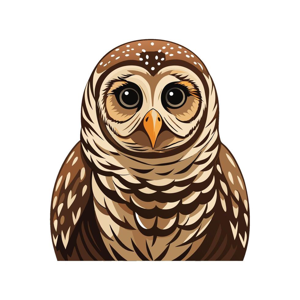 Creative Barred Owl Artwork vector