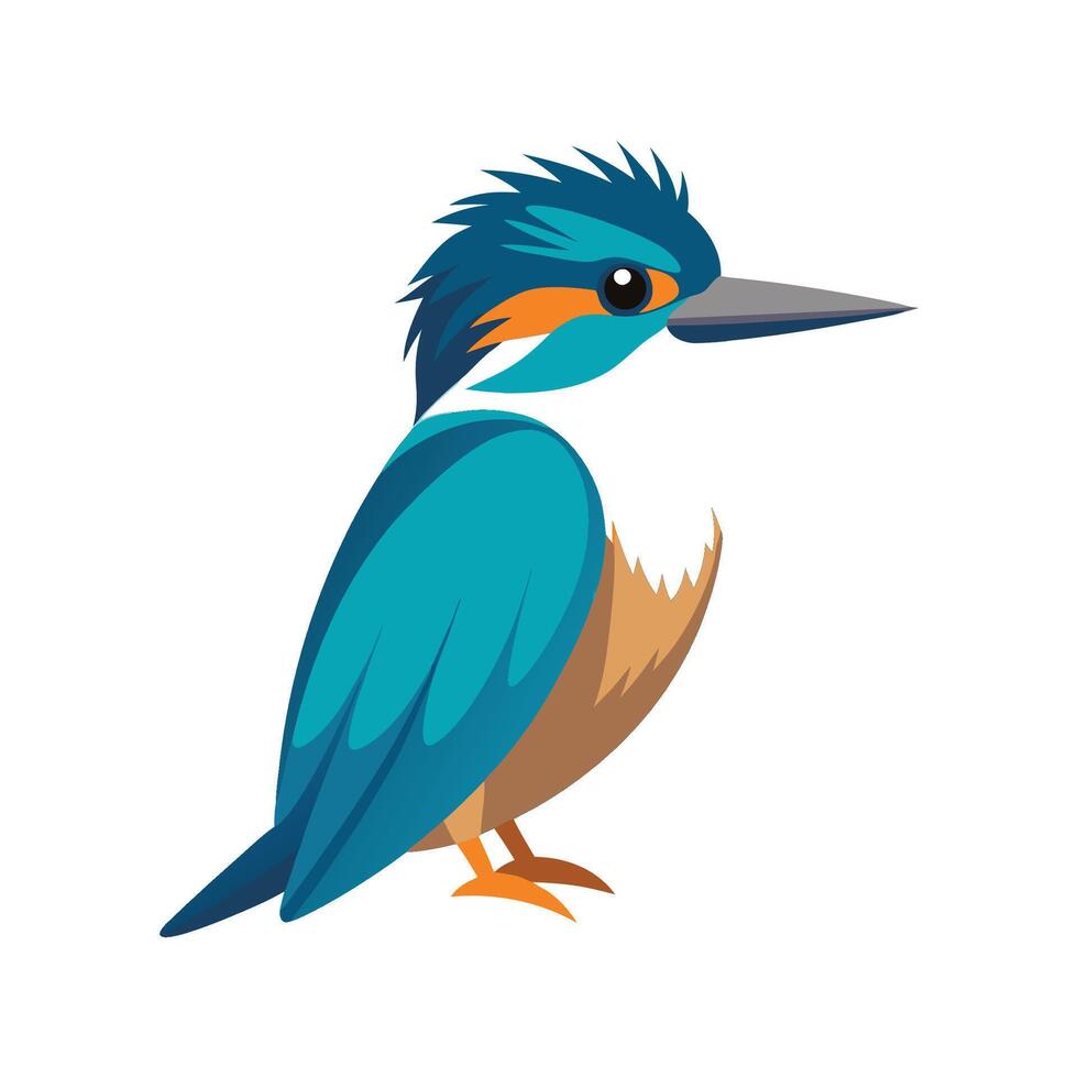 Unique Belted Kingfisher Artwork vector