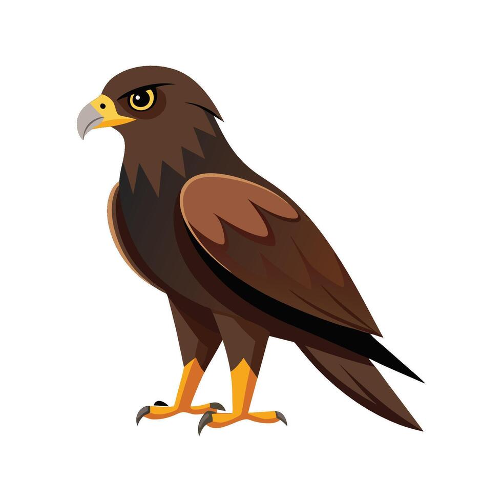 Vibrant Black Kite Bird Illustration vector