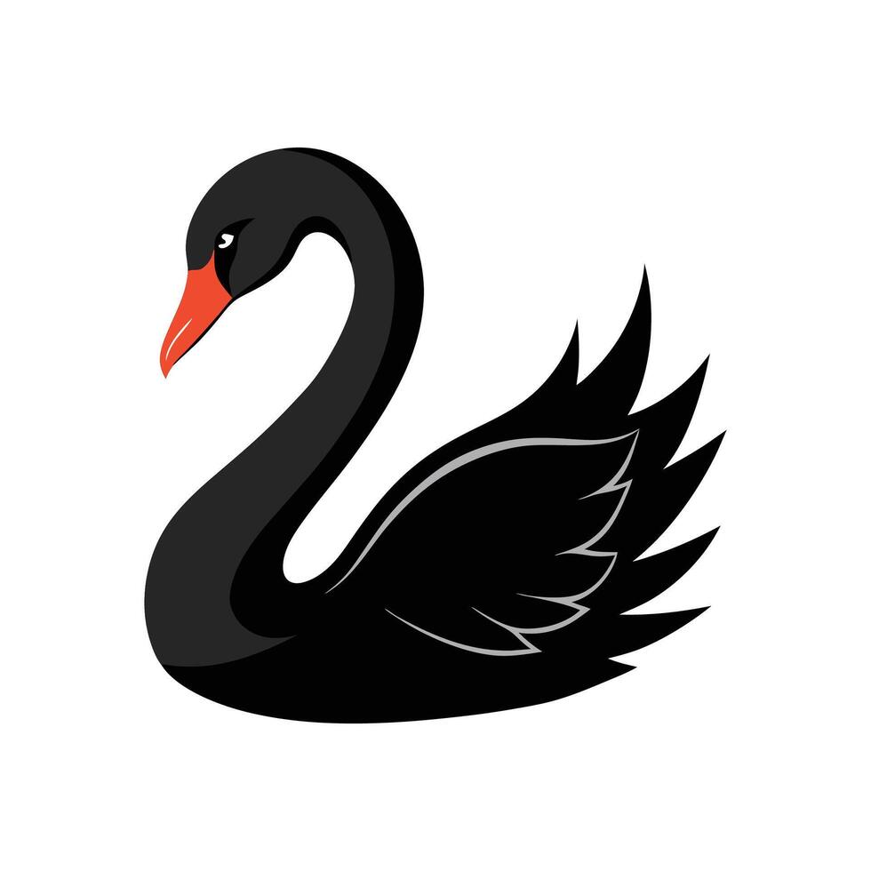 Elegant Illustration of Black Swan vector