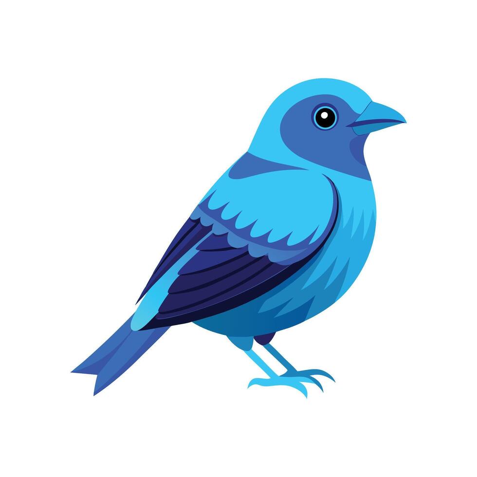 Vibrant Blue Dacnis Art vector