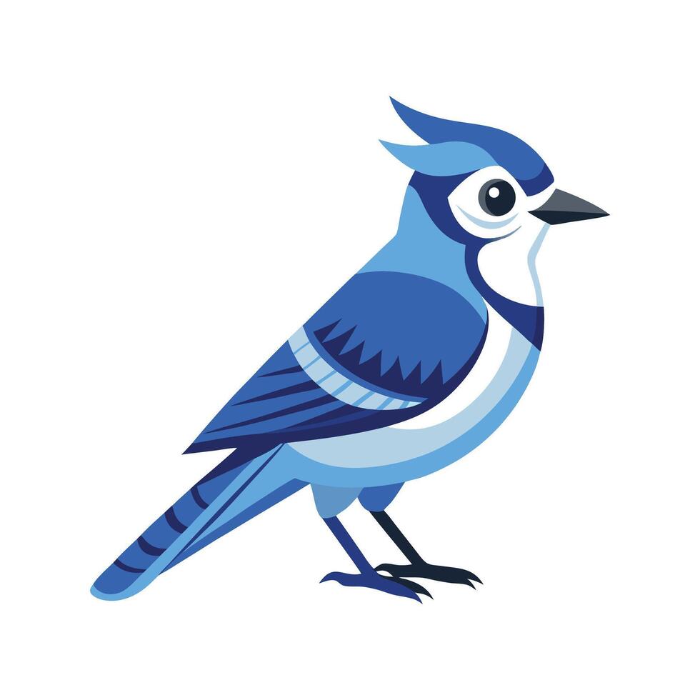 Creative Illustration of Blue Jay vector