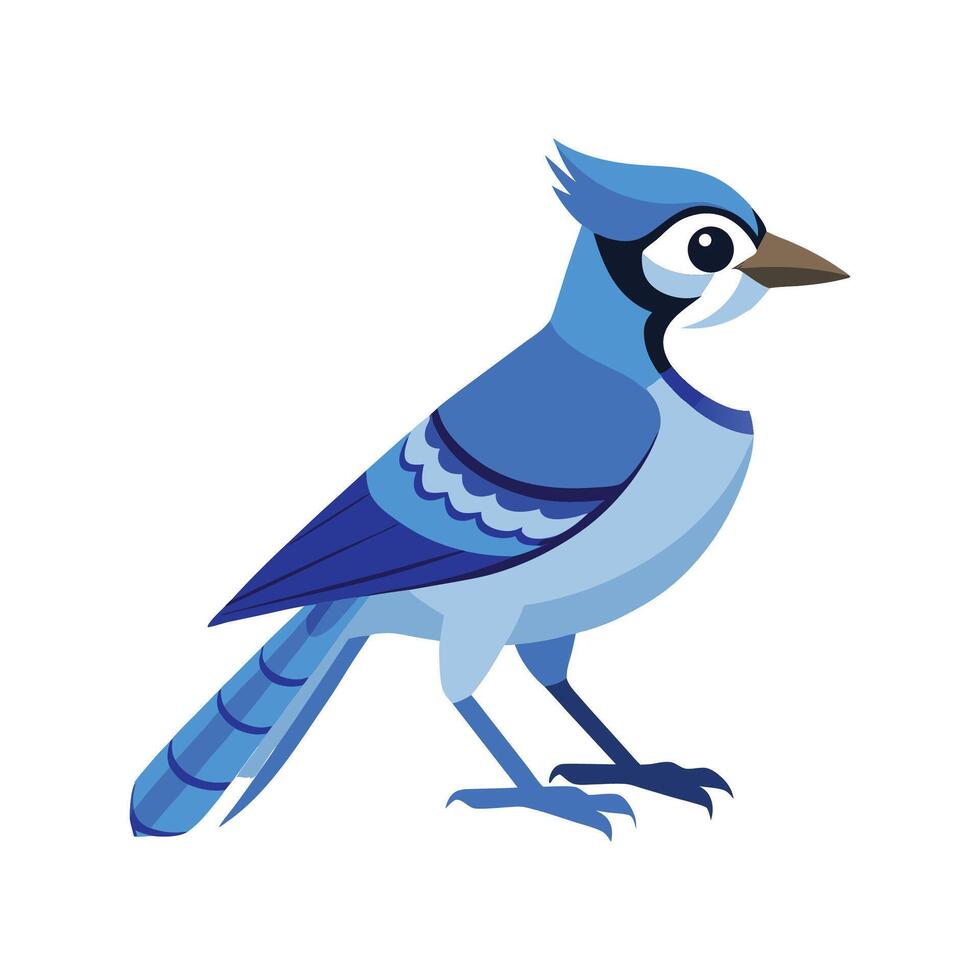 Stylish Blue Jay Bird Illustration vector