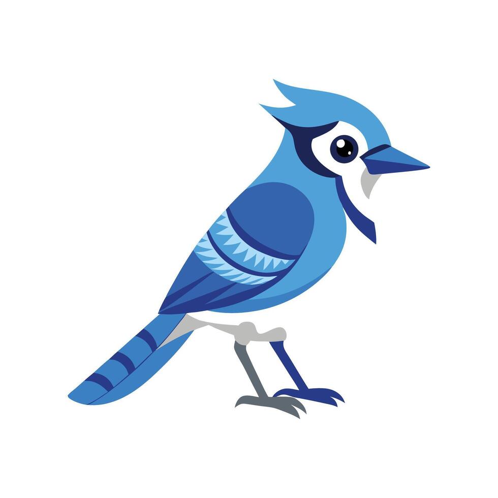 Charming of Blue Jay vector