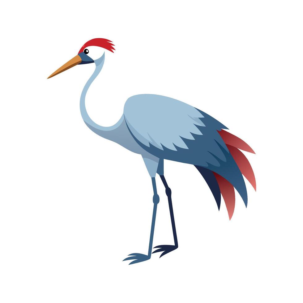 Charming Illustration of Brolga vector
