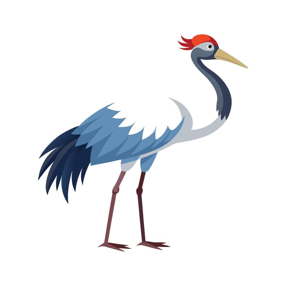 Elegant Brolga Bird Illustration vector