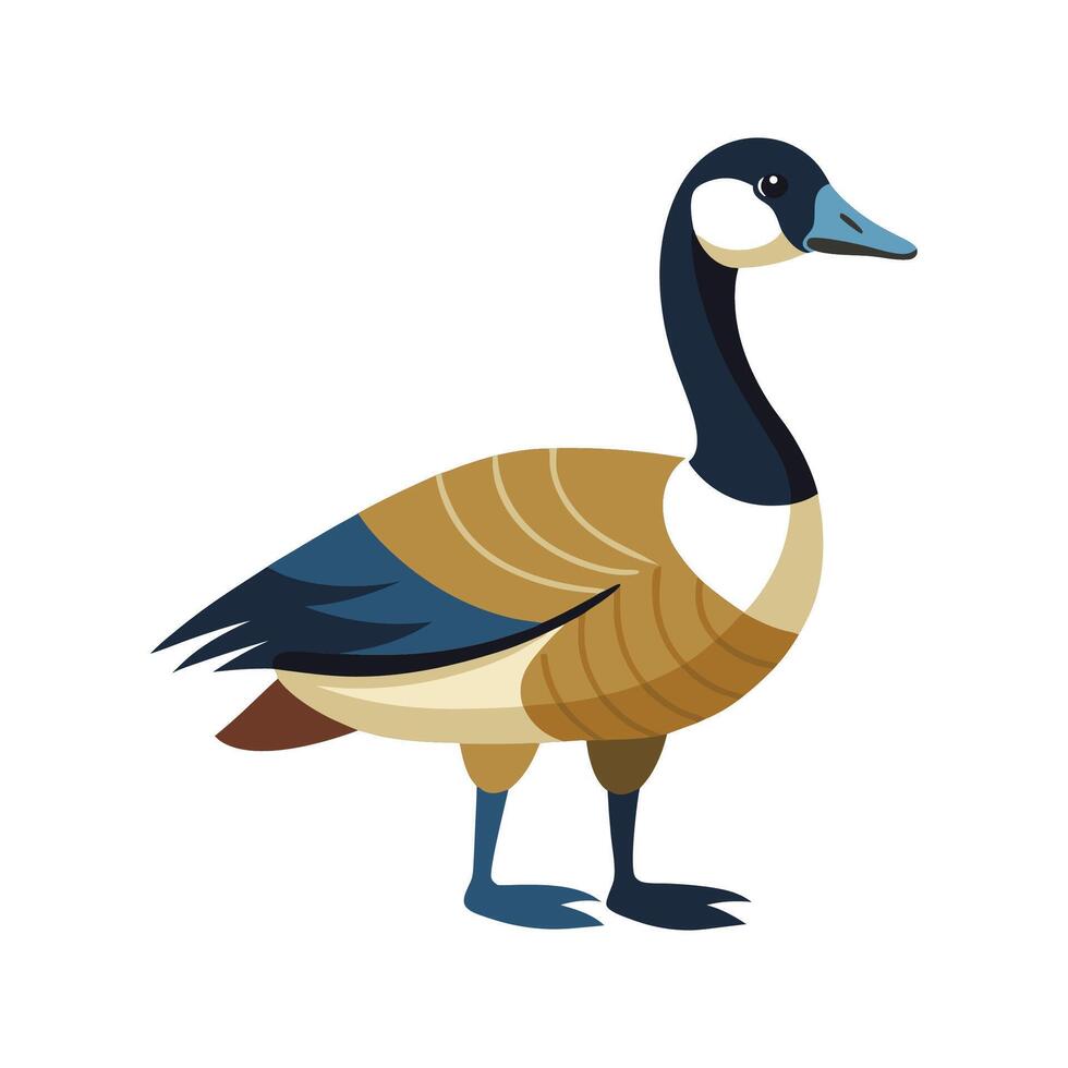Unique Canada Goose Bird Artwork vector