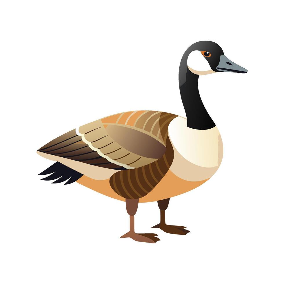 Majestic Canada Goose Artwork vector