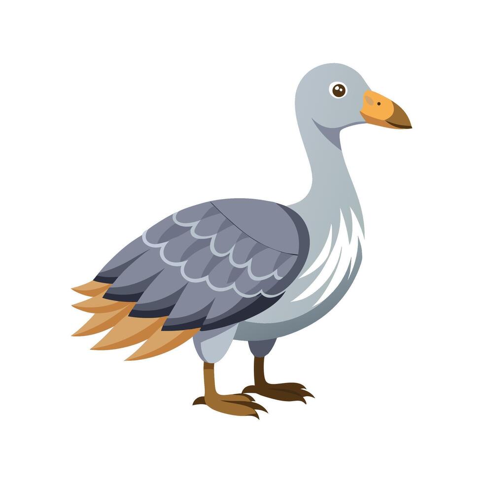 Charming Cape Barren Goose Artwork vector