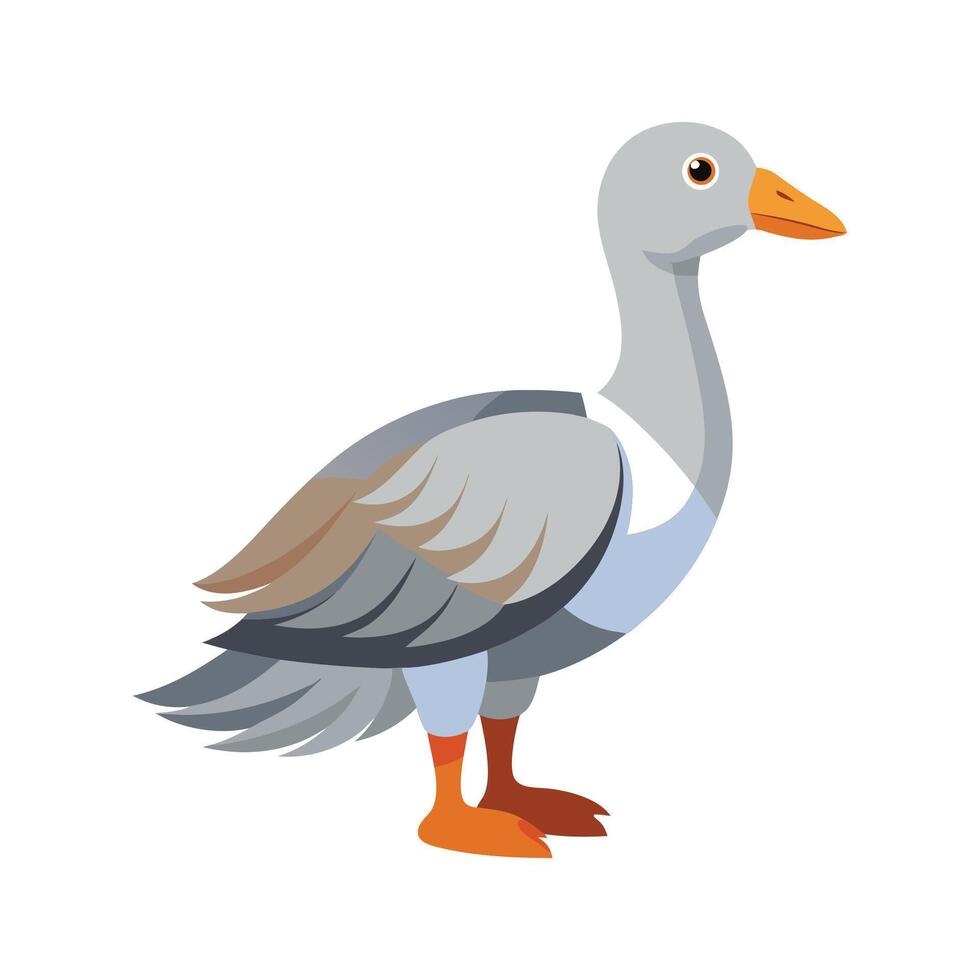 Elegant Cape Barren Goose Bird Design vector