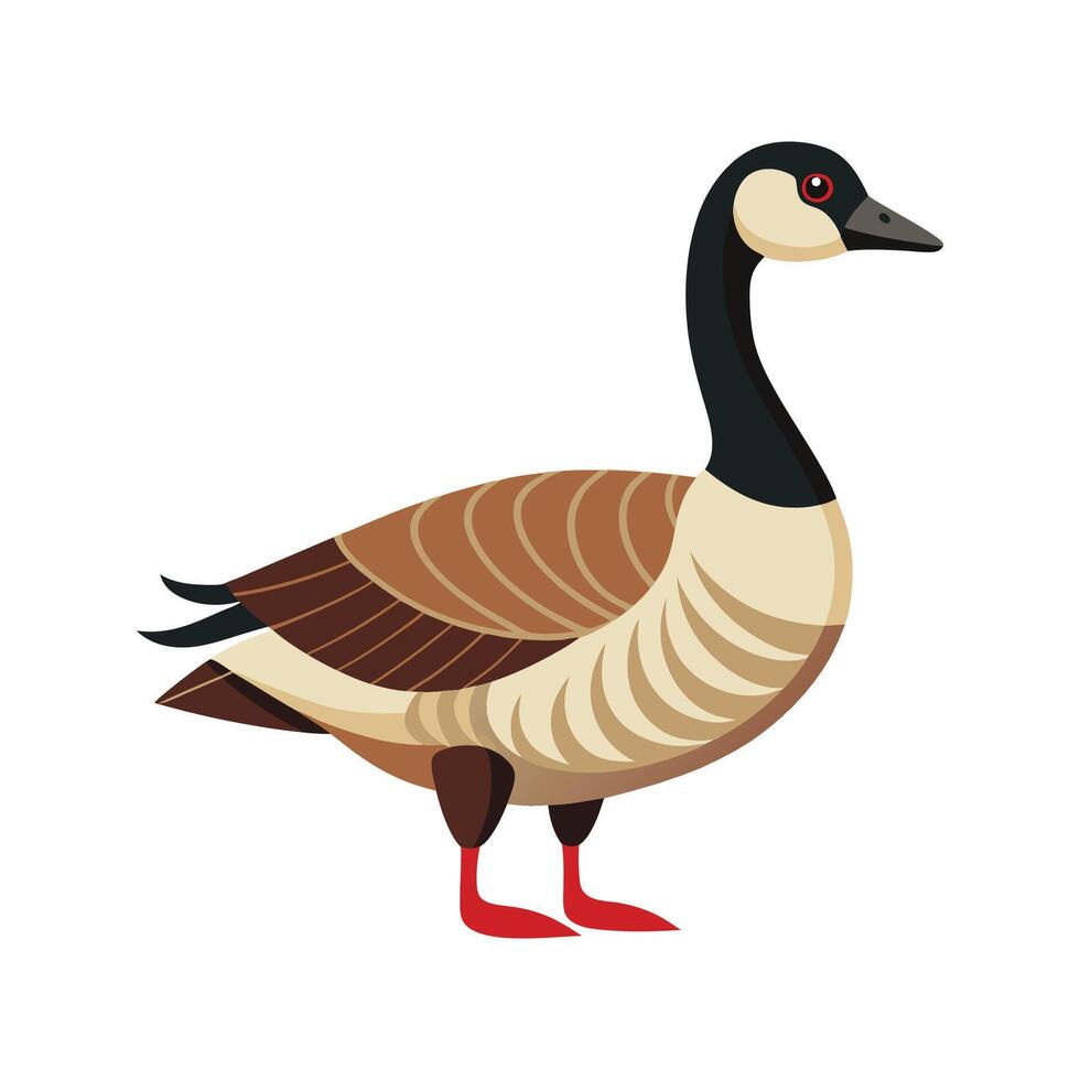 Elegant Canada Goose Artwork vector