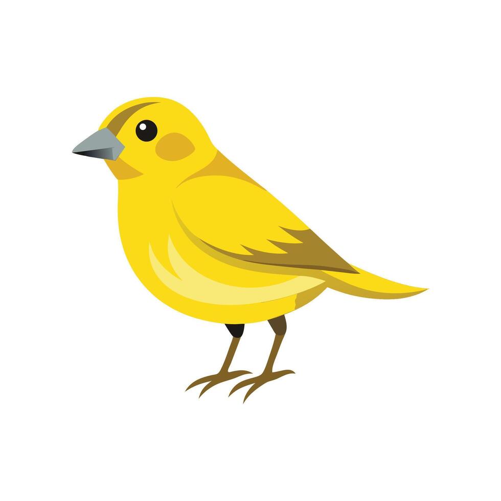 Elegant Illustration of Canary Bird vector