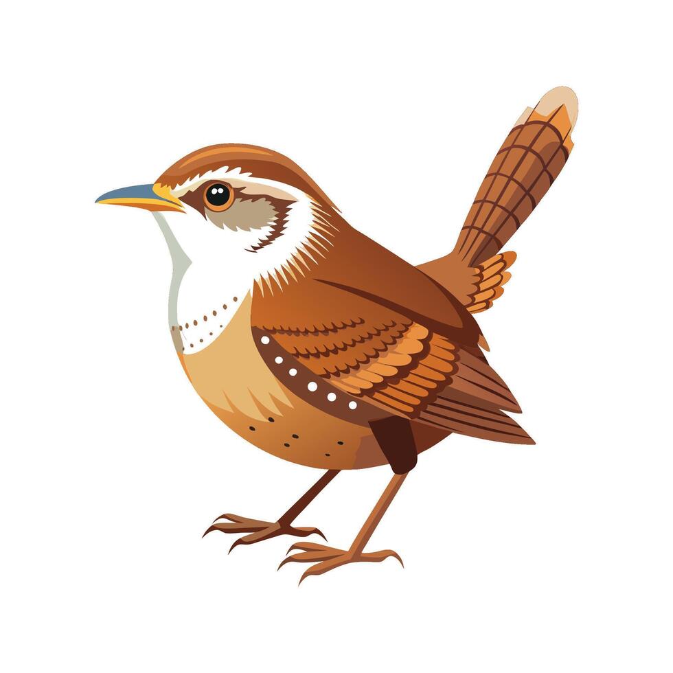 Charming Carolina Wren Art vector