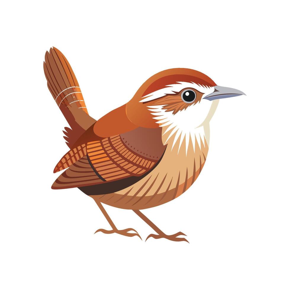 Unique Carolina Wren Graphic Design vector