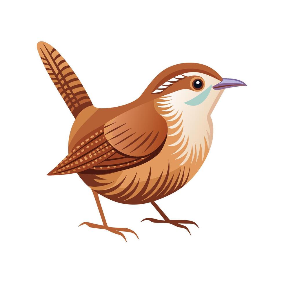 Elegant Carolina Wren Artwork vector