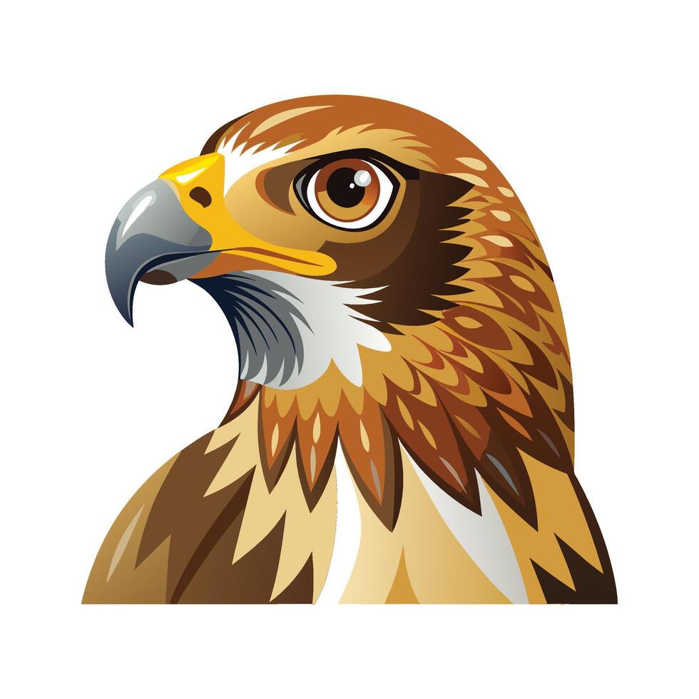 Majestic Common Buzzard Bird vector