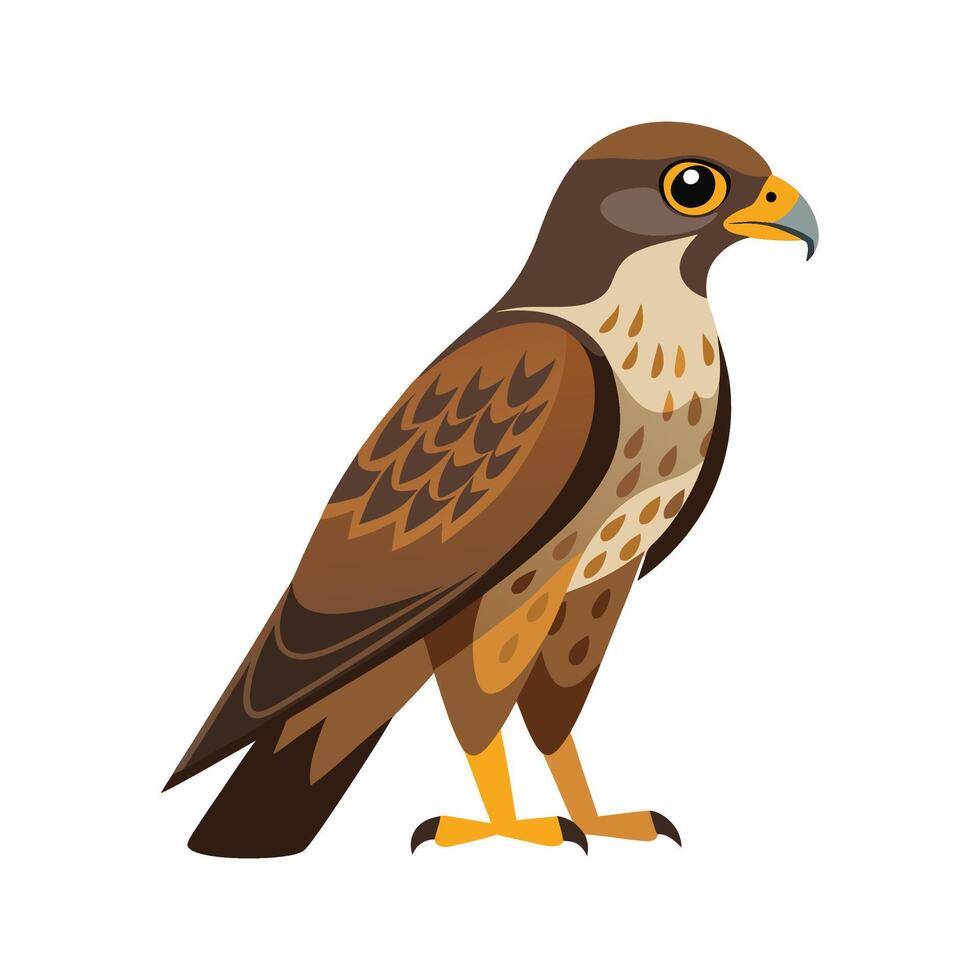 Charming Illustration of Common Buzzard vector
