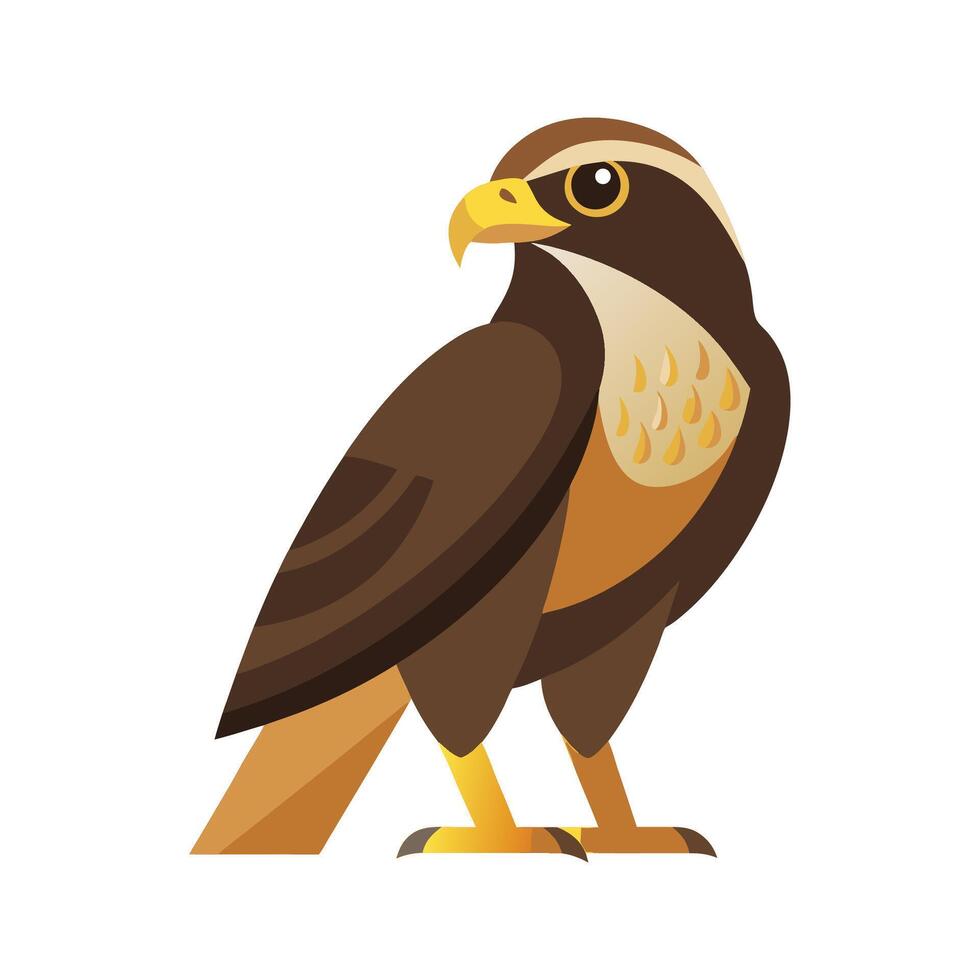 Majestic Common Buzzard Bird Artwork vector
