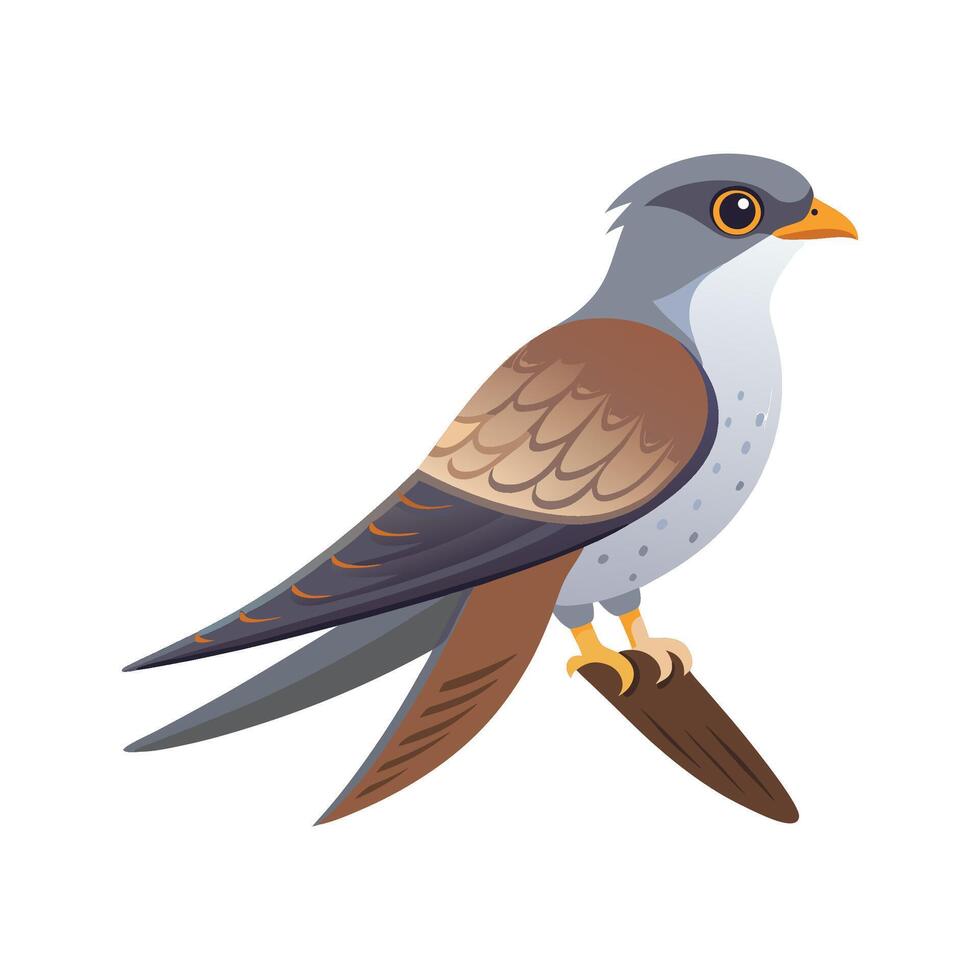 Unique Common Cuckoo Bird Artwork vector