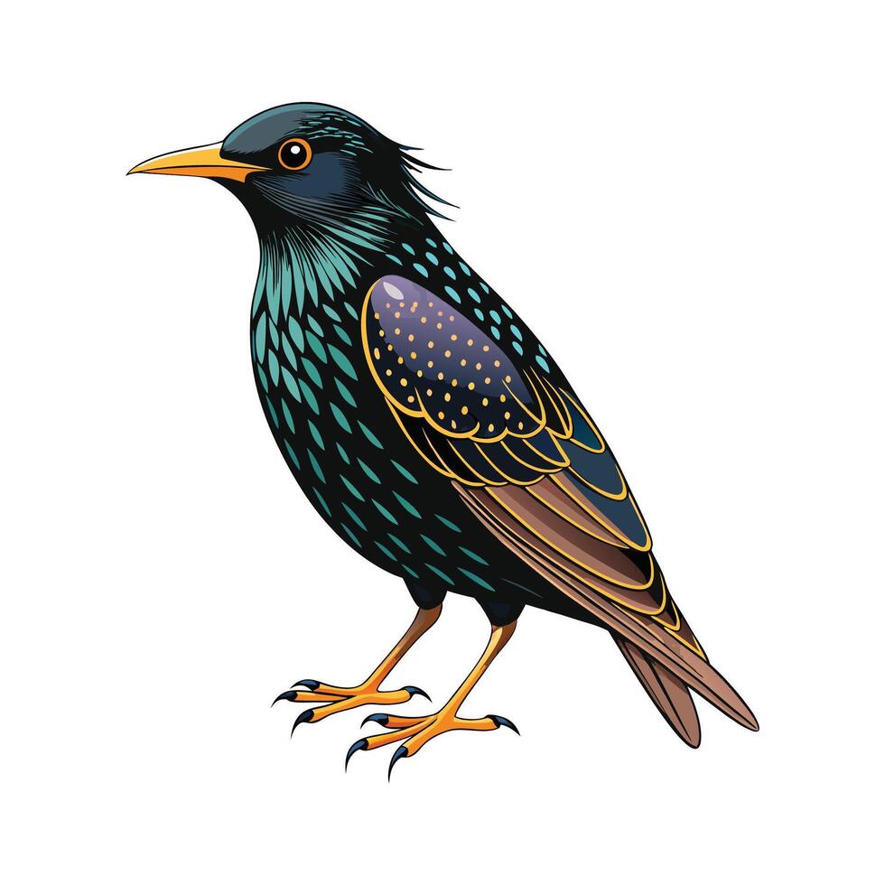 Stylish Illustration of Common Starling vector