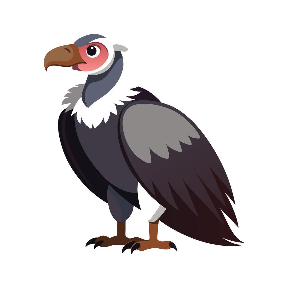 Charming Condor Bird Artwork vector
