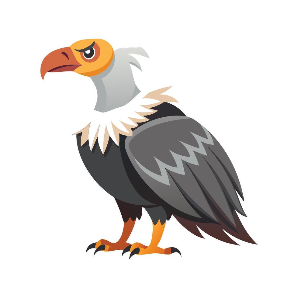 Majestic Condor Artwork vector