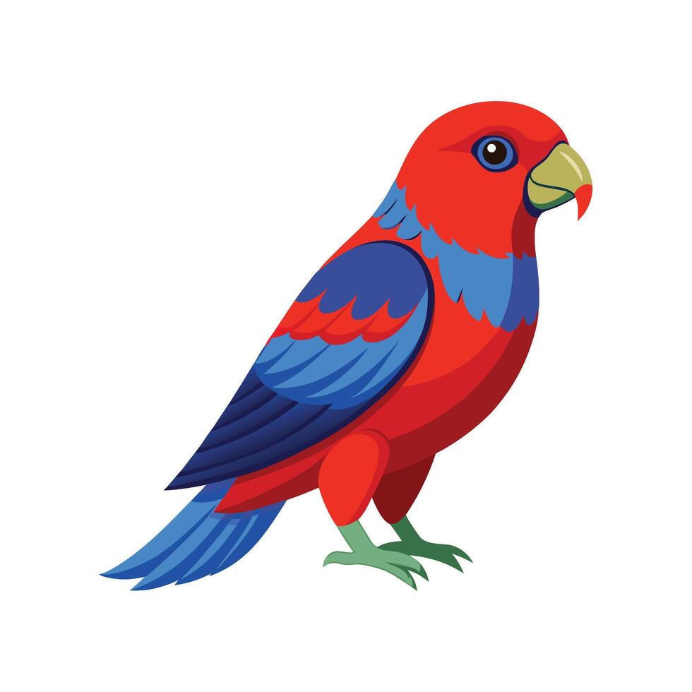 Unique Artwork of Crimson Rosella vector
