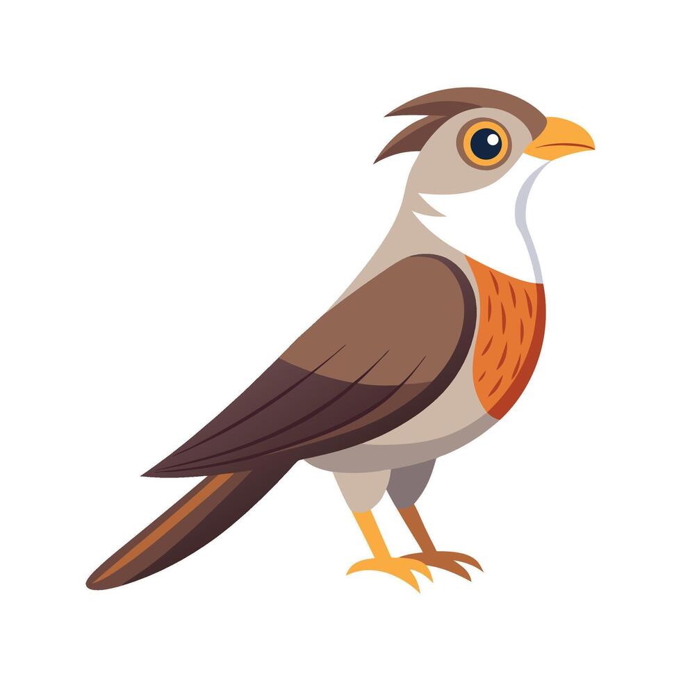 Elegant Cuckoo Bird Artwork vector