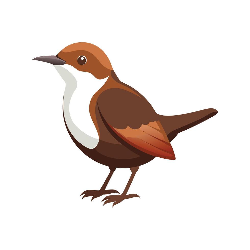 Charming Dipper Bird Artwork vector
