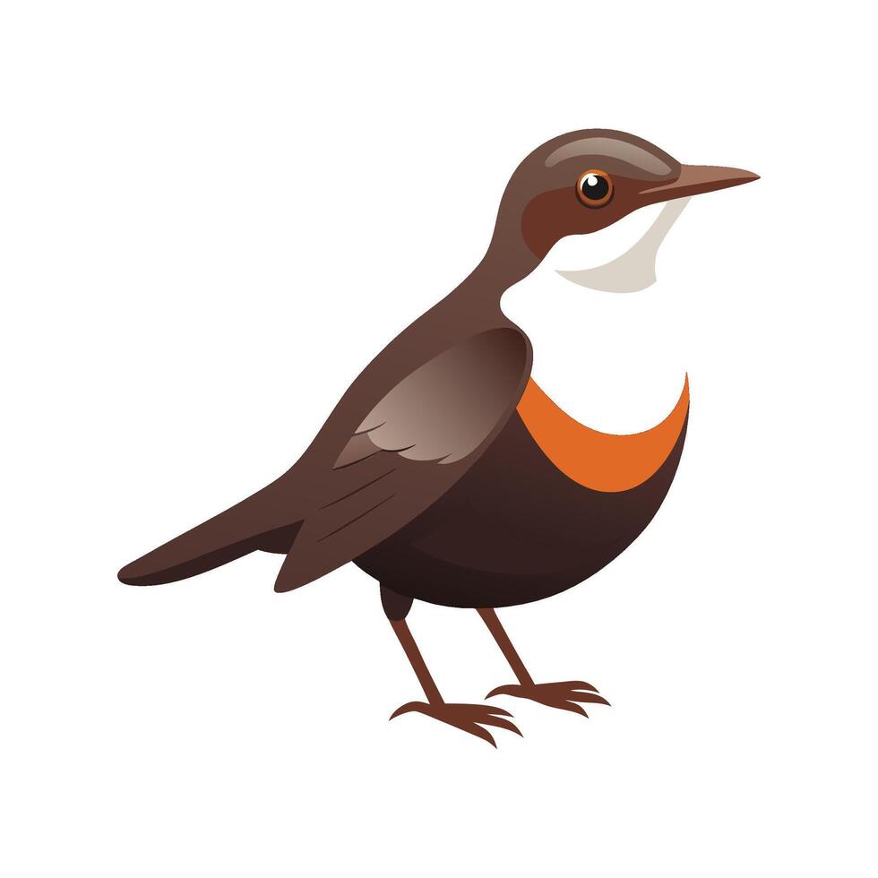 Elegant Dipper Bird Graphic vector