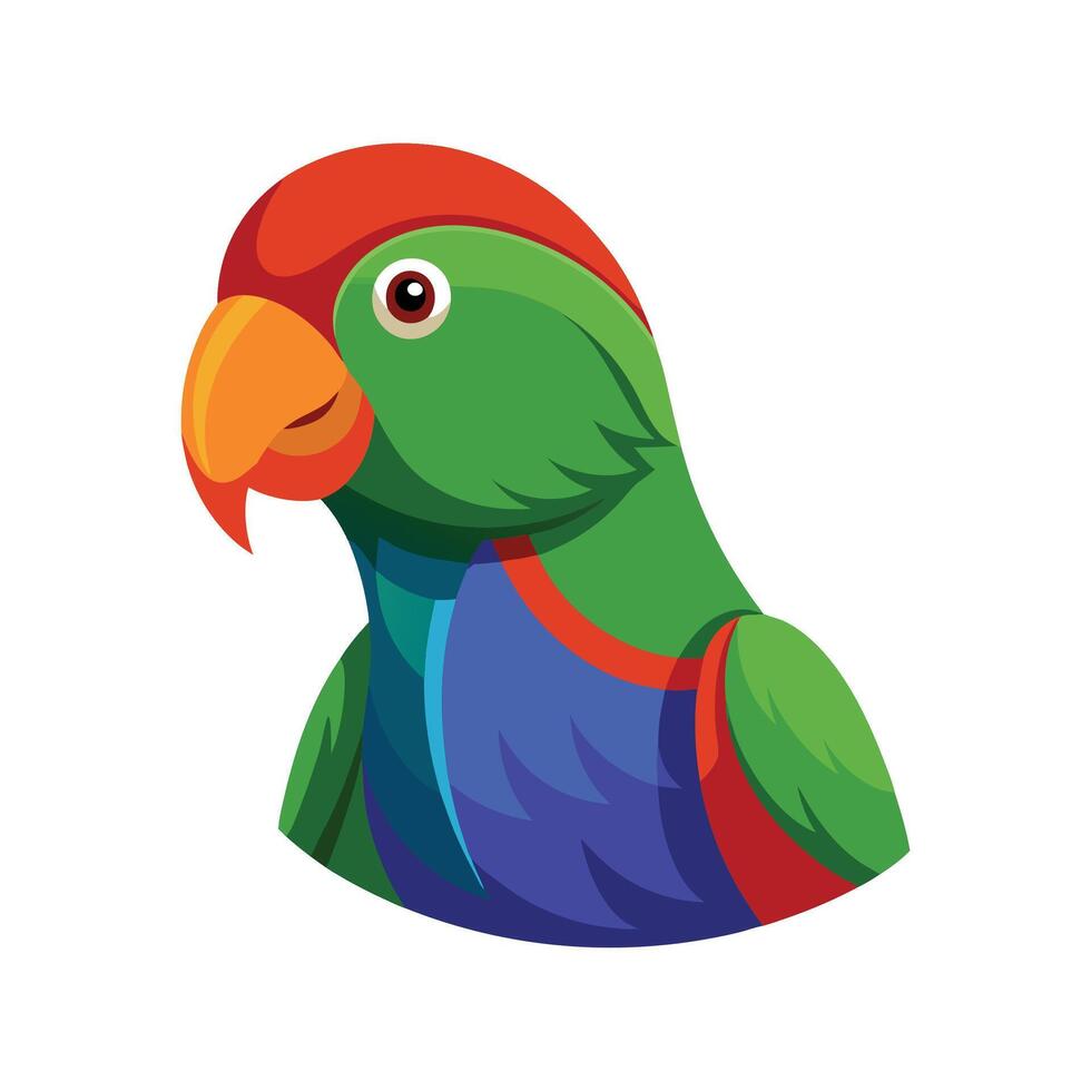 Charming Eclectus Parrot Bird Artwork vector