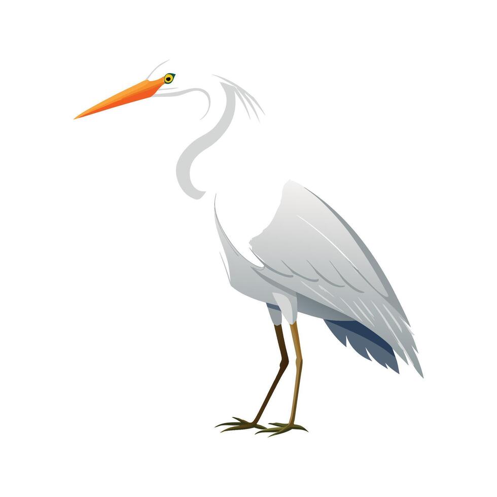 Elegant Realistic Egret Artwork vector