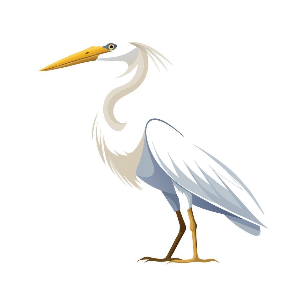 Charming Realistic Egret Artwork vector