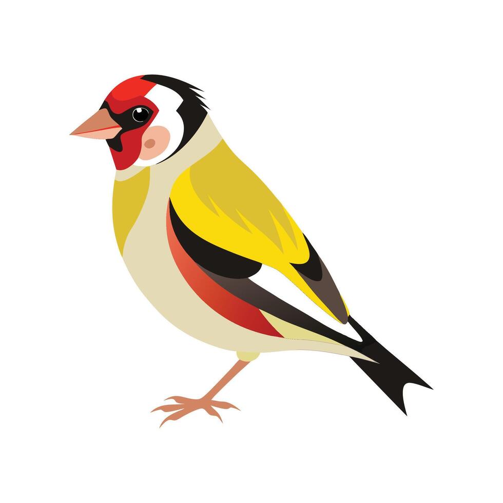 Stylish Illustration of European Goldfinch vector