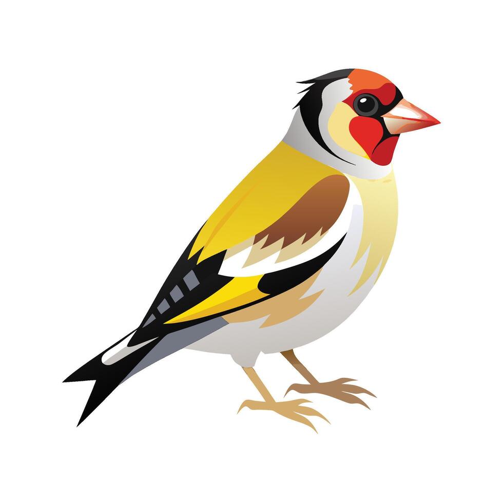 Elegant Artwork of European Goldfinch vector