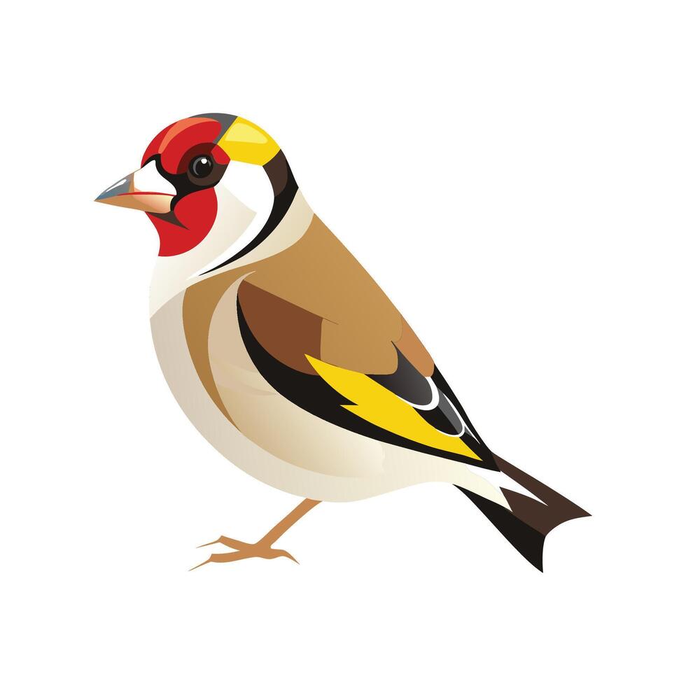 Unique European Goldfinch Bird Artwork vector