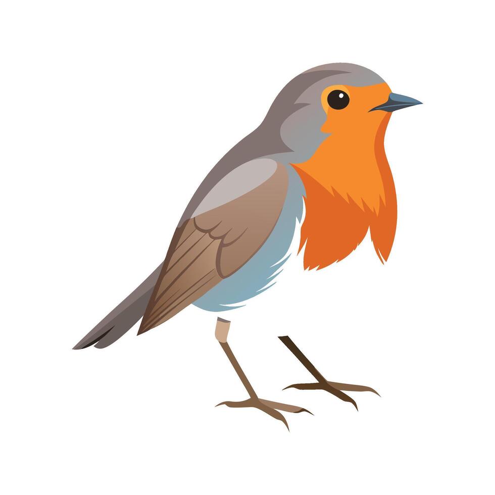 Stylish Illustration of European Robin vector