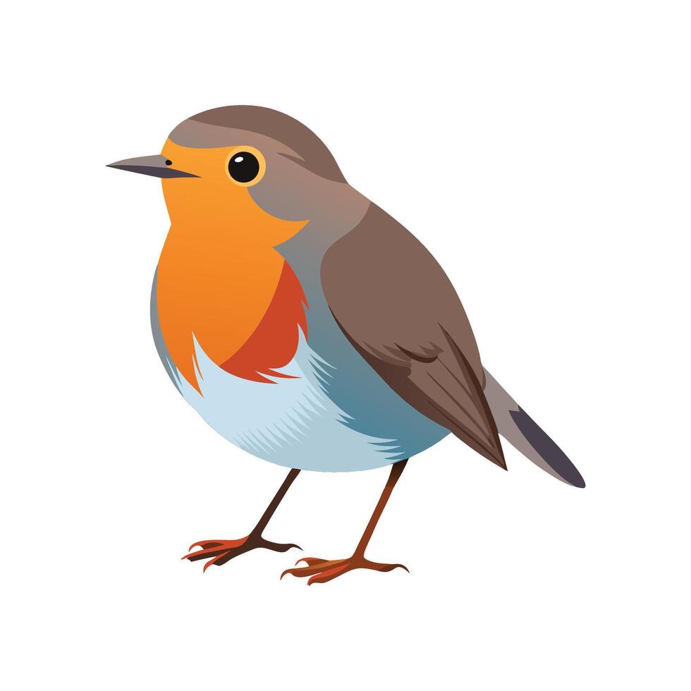 Charming European Robin Artwork vector