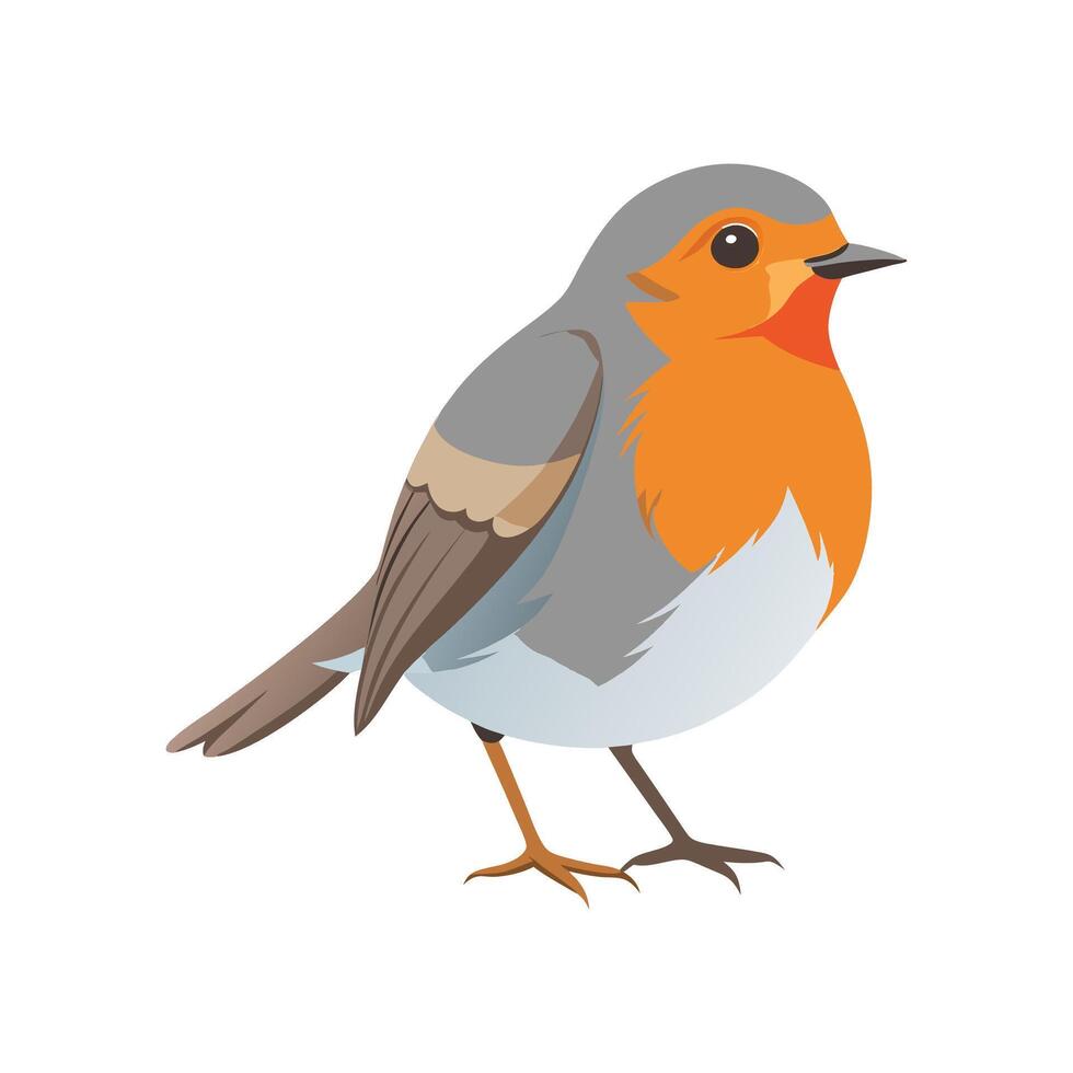 Unique European Robin Bird Artwork vector
