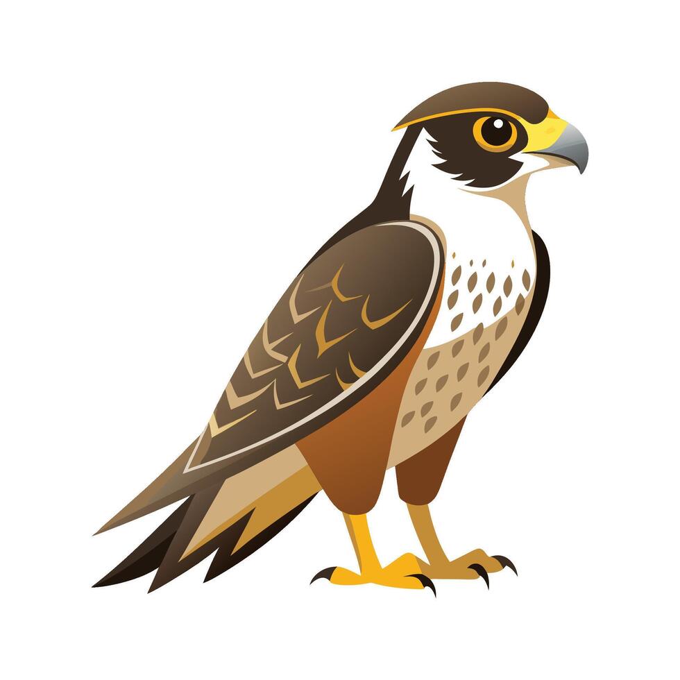 Majestic Falcon Bird Artwork vector
