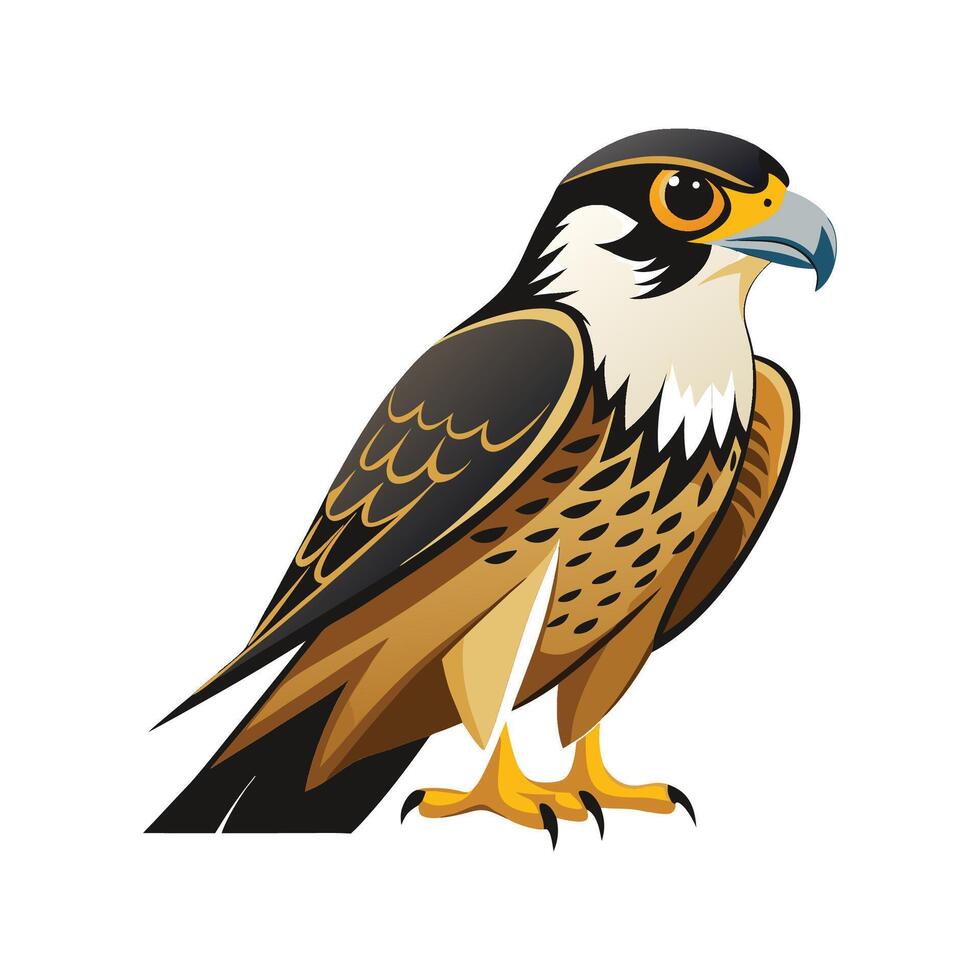Unique Falcon Bird Artwork vector